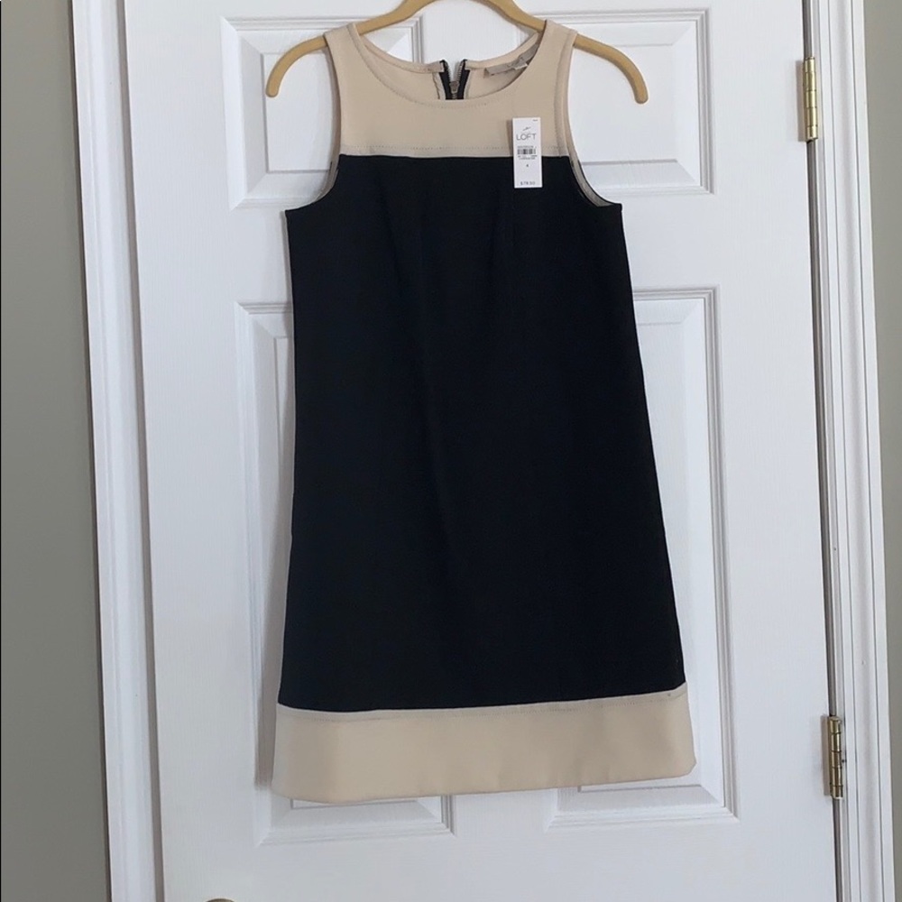 Ann Taylor LOFT dress